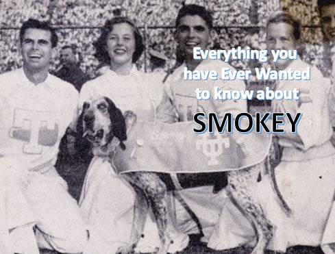 3D TN Vols Smokey Mascot Garden Flag