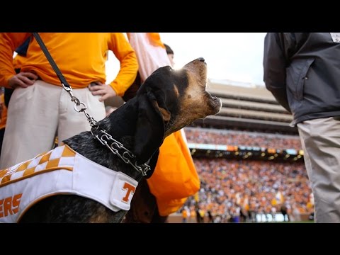 3D Smoky Tennessee Vols Car Flag